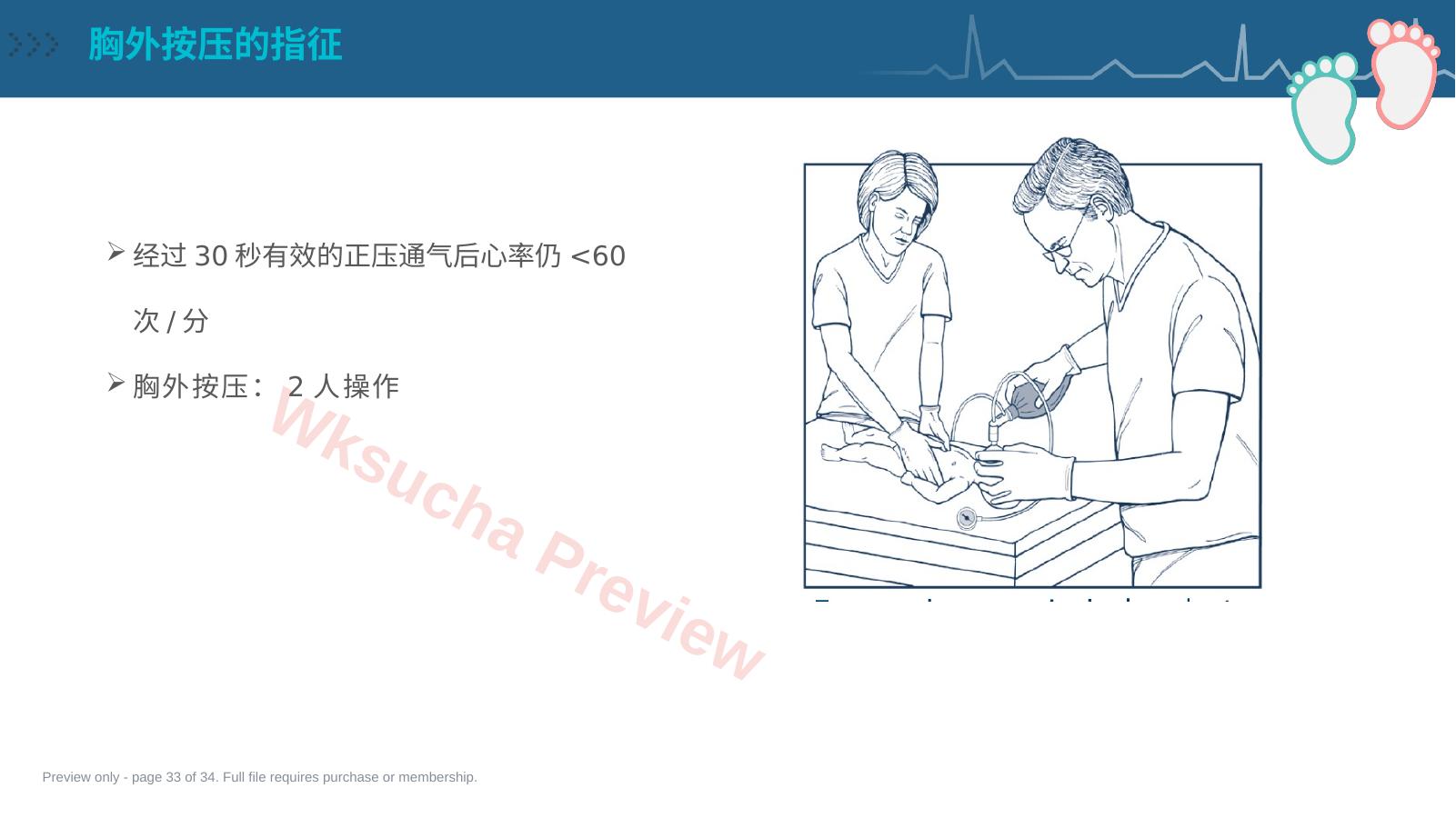 预览第 33 页