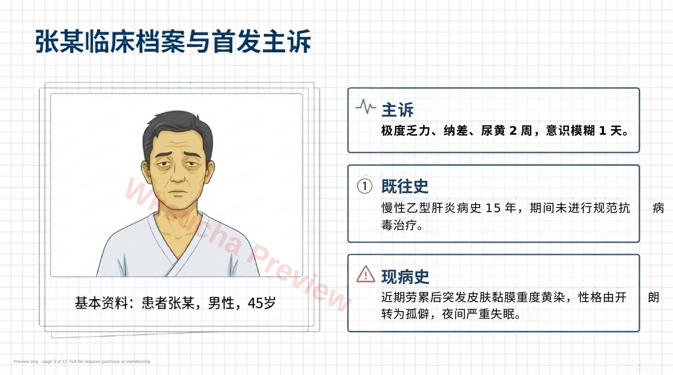 预览第 3 页