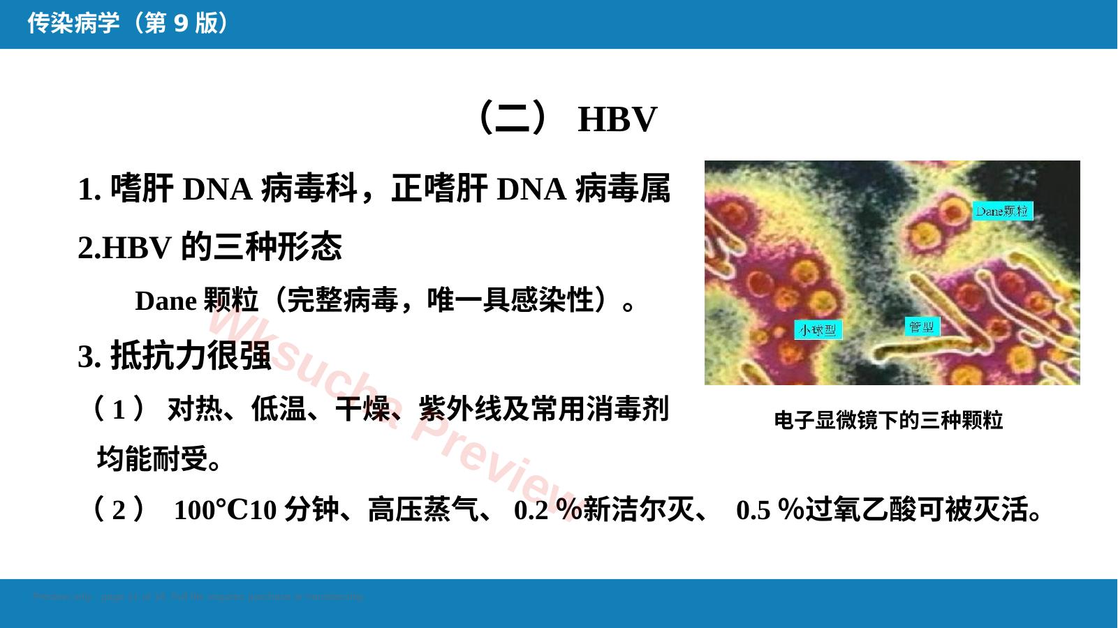 预览第 11 页
