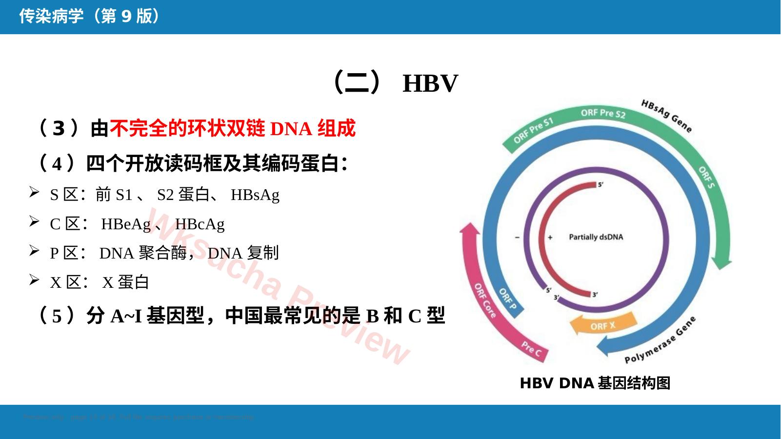预览第 13 页