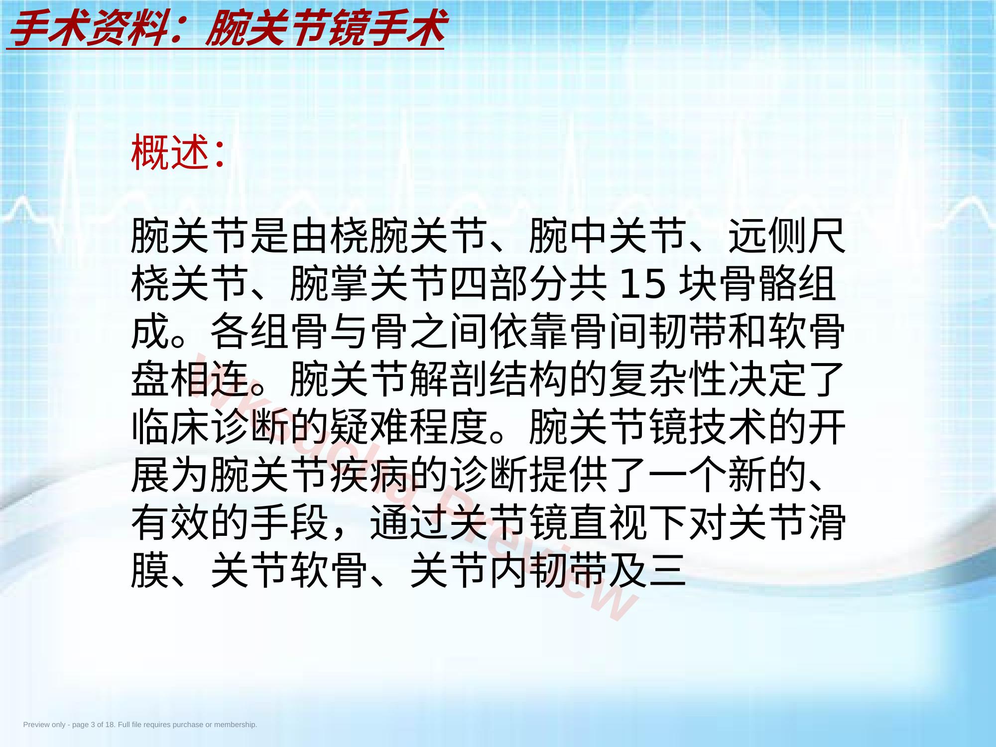 预览第 3 页
