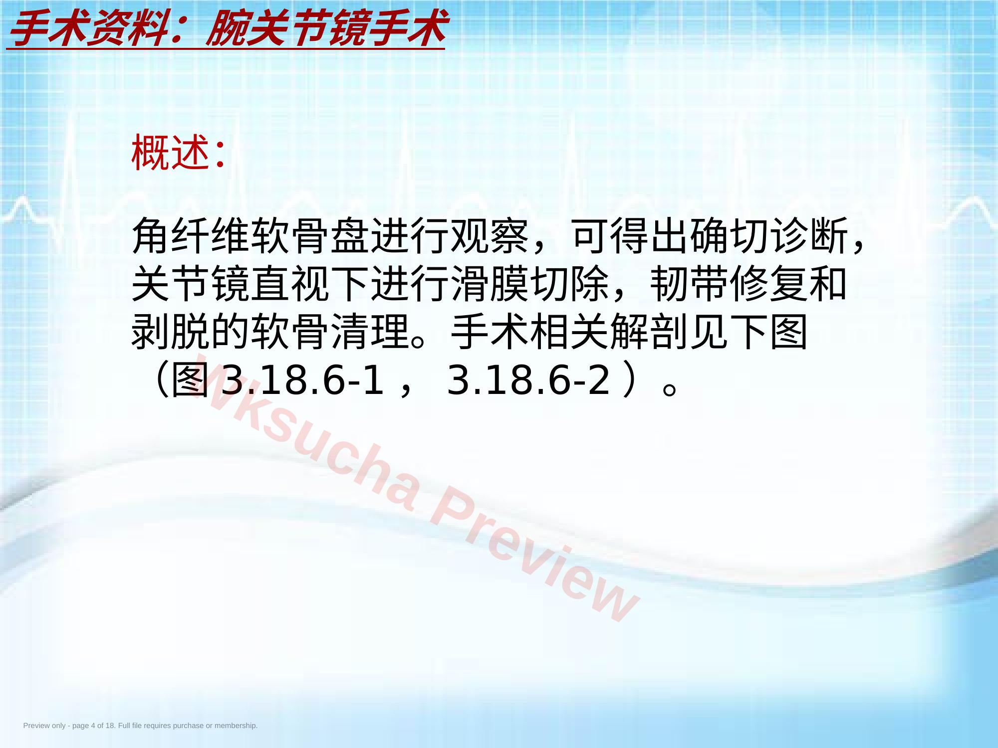预览第 4 页