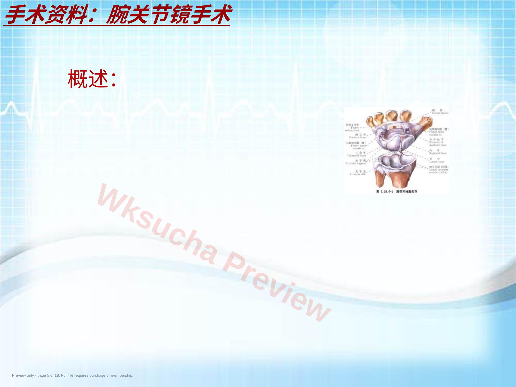 预览第 5 页