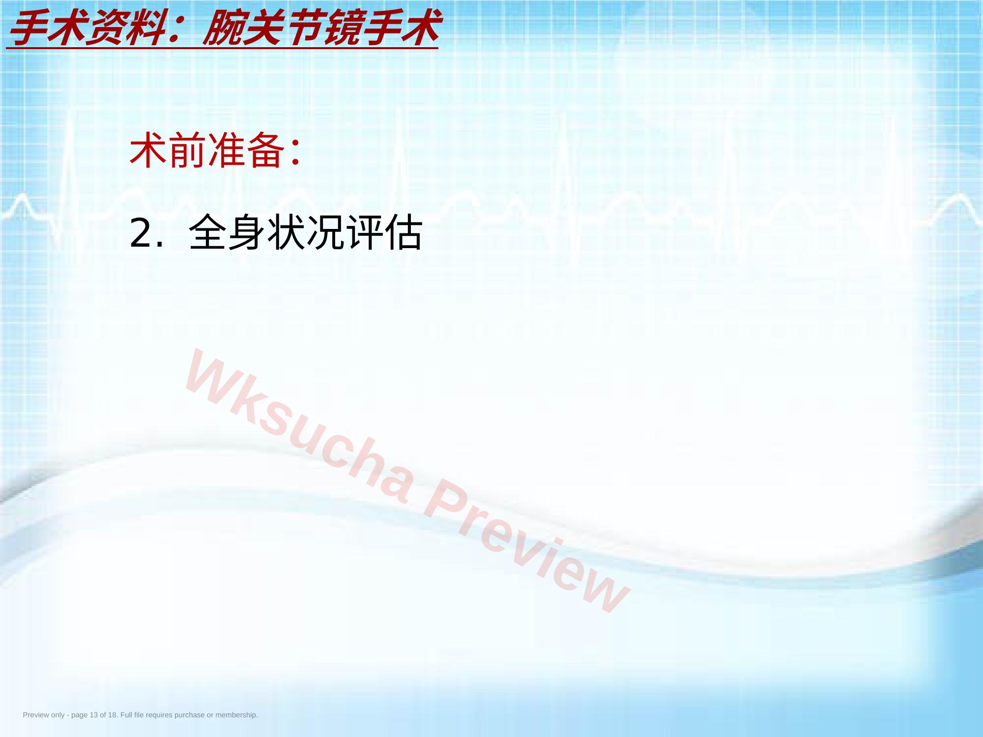 预览第 13 页