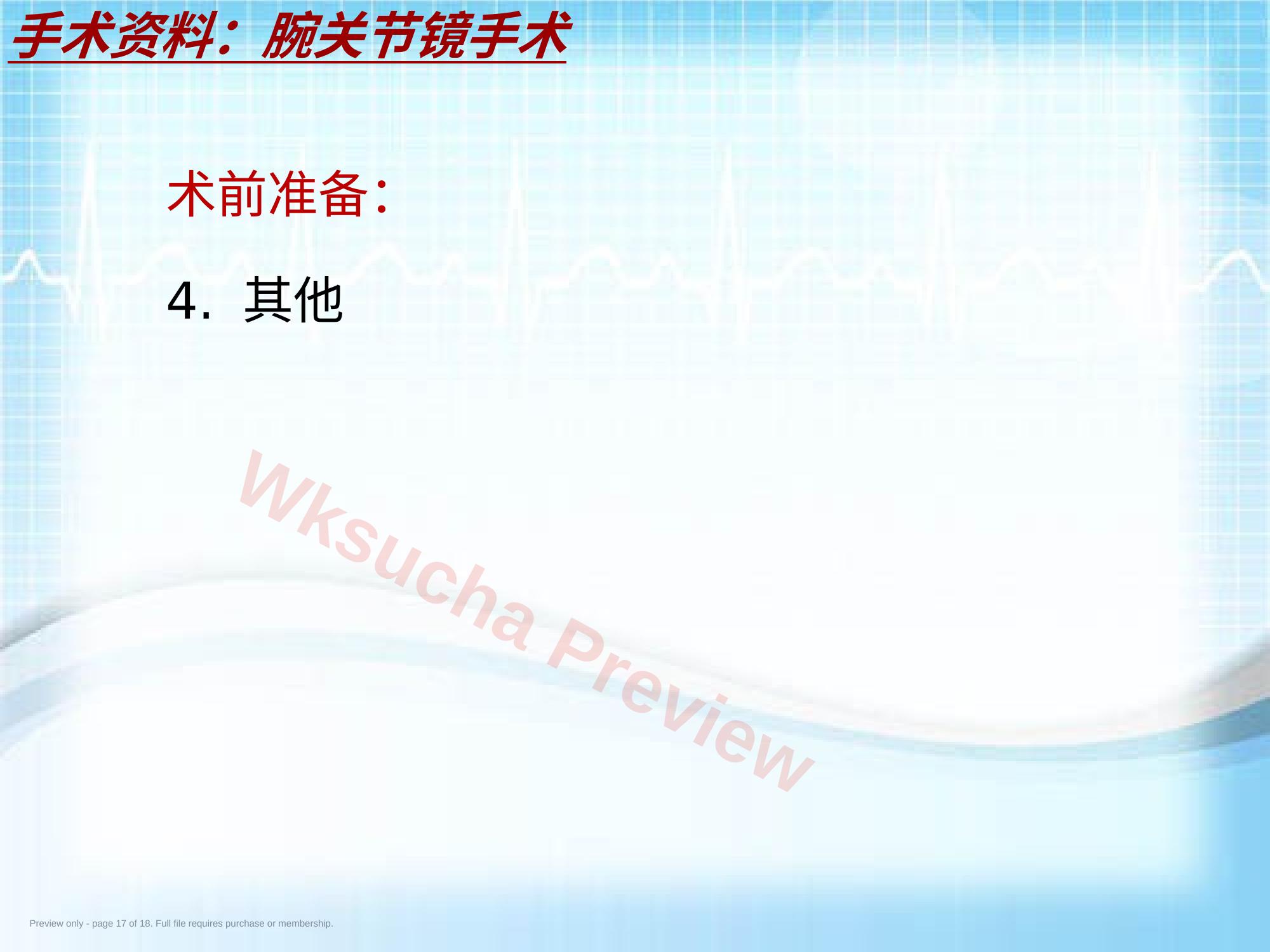 预览第 17 页