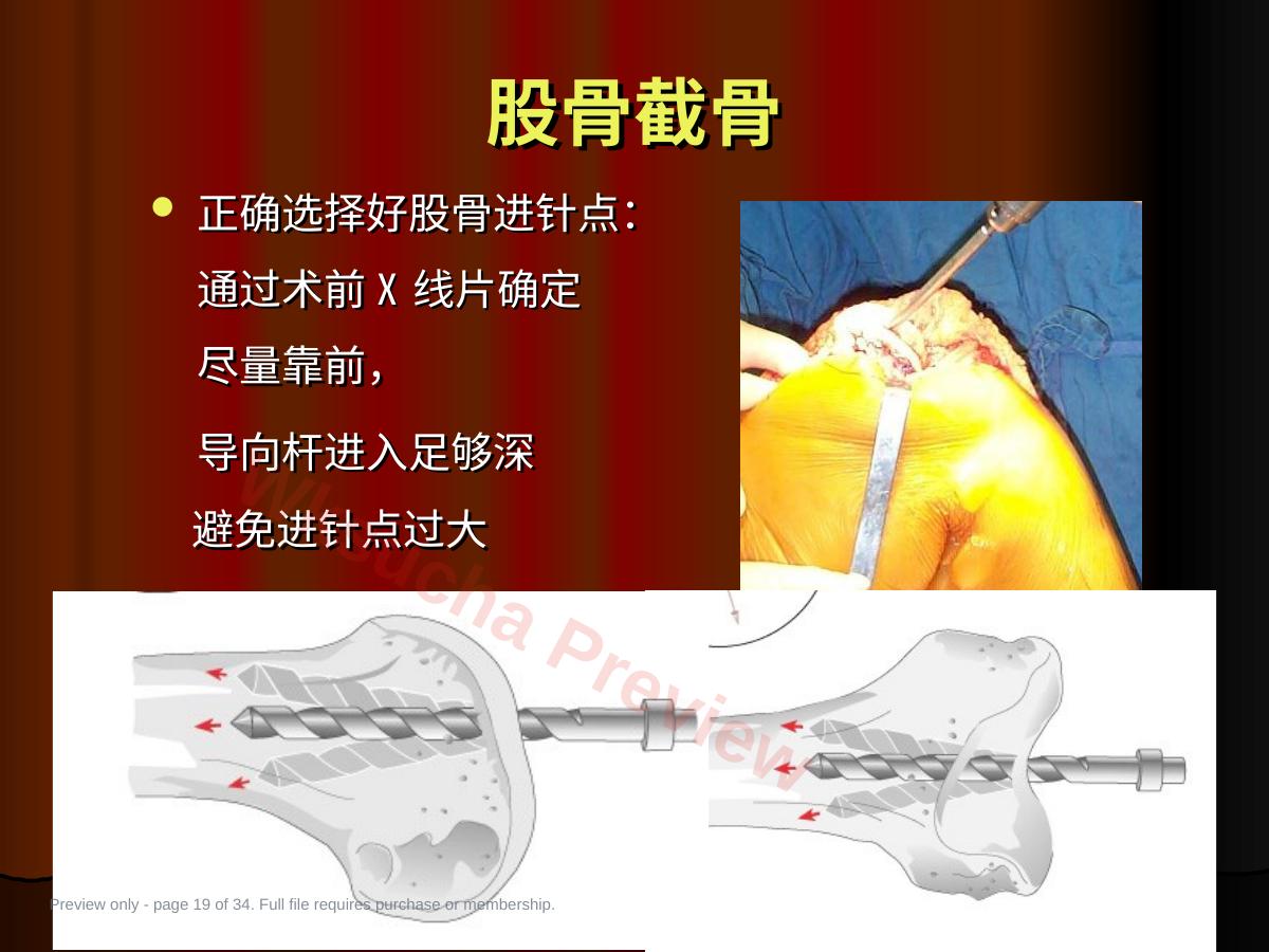 预览第 19 页
