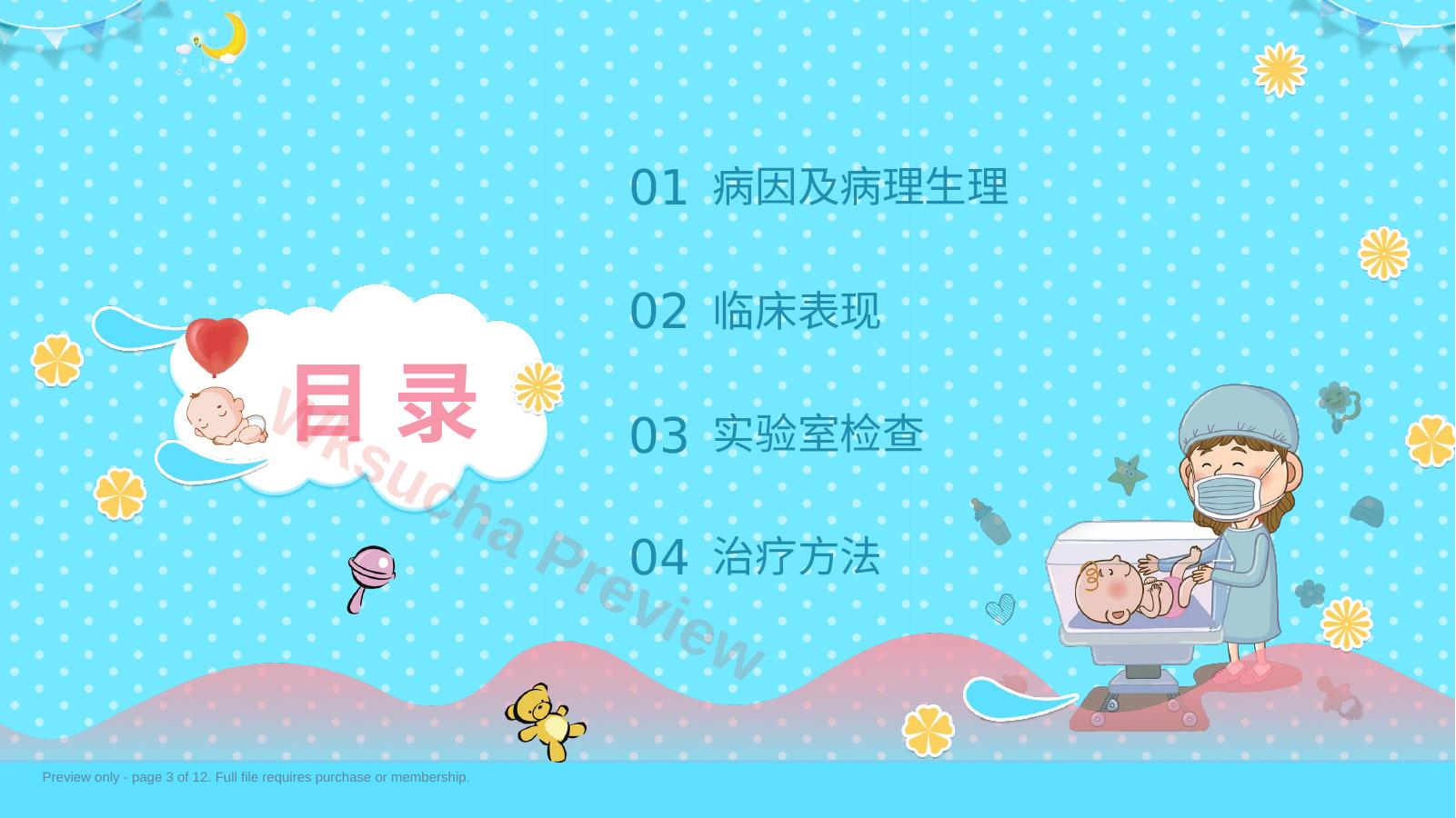 预览第 3 页