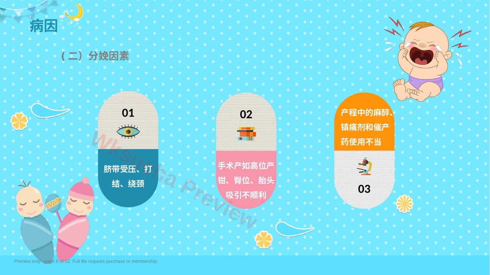 预览第 6 页