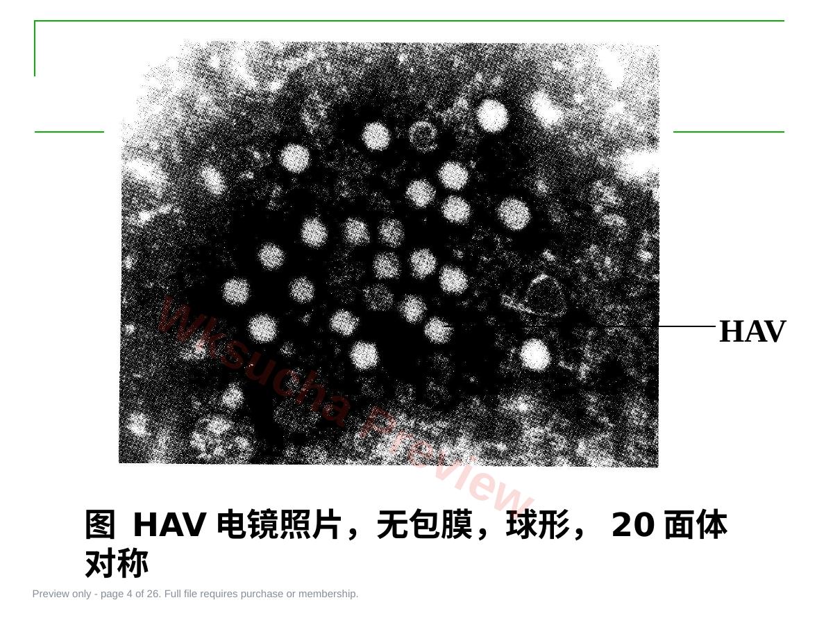 预览第 4 页