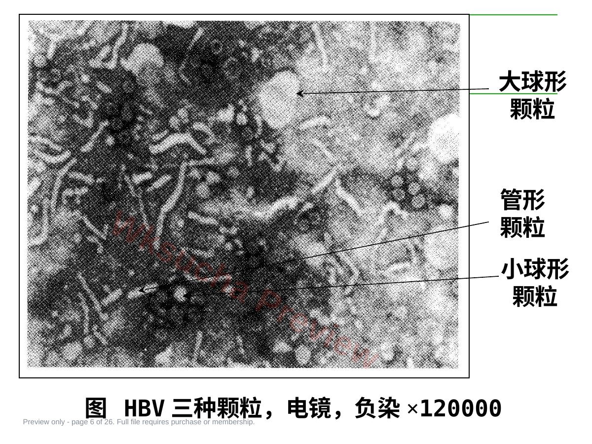 预览第 6 页
