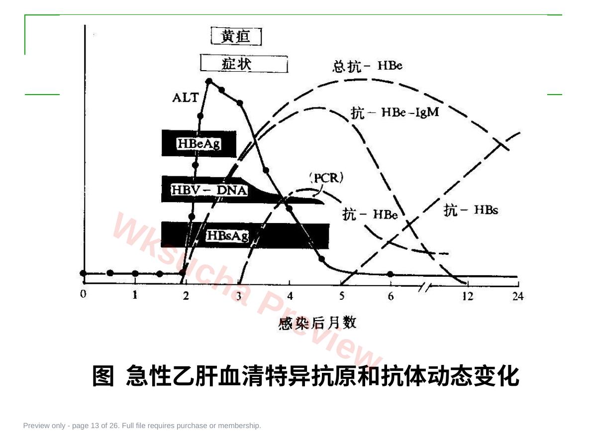预览第 13 页