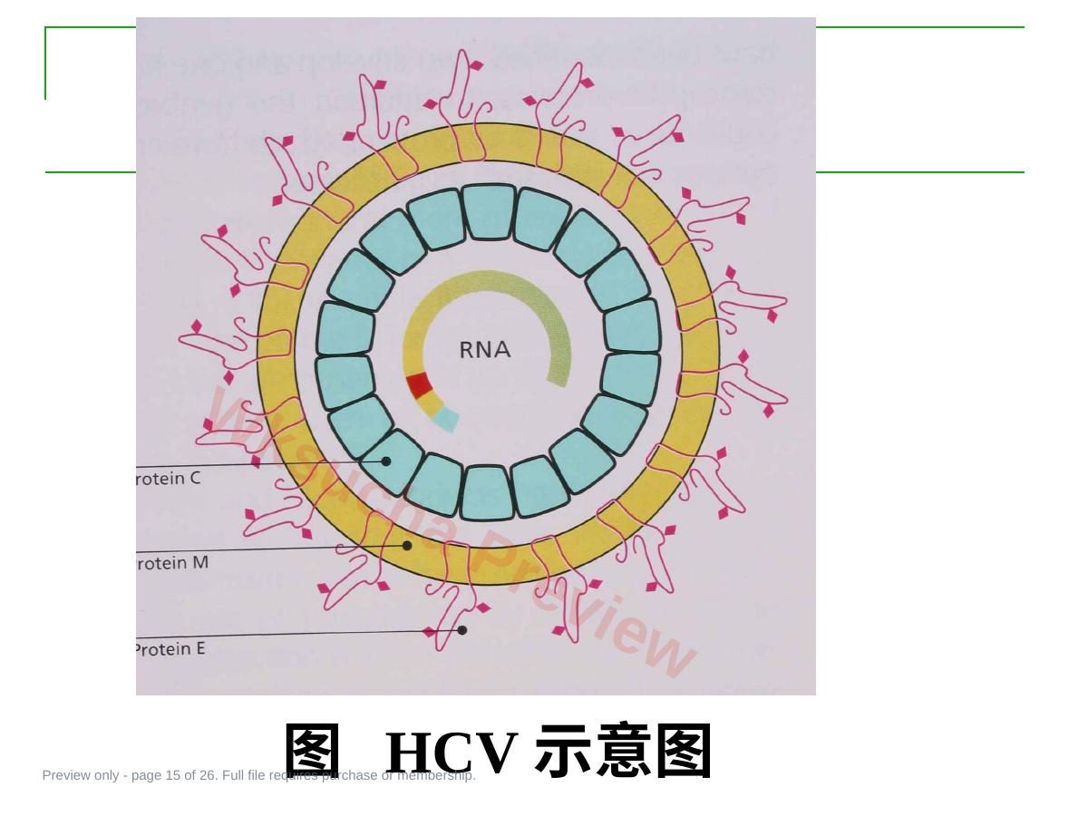 预览第 15 页