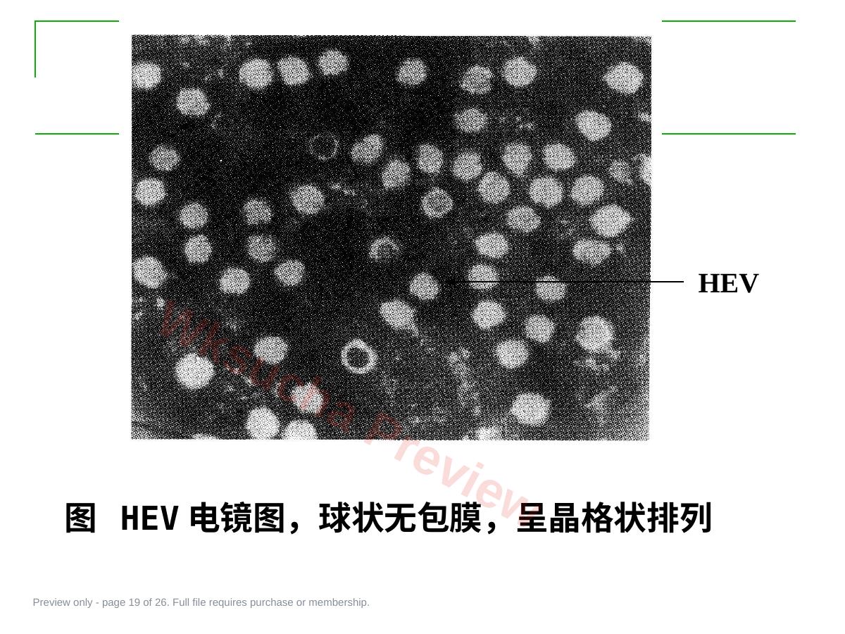 预览第 19 页