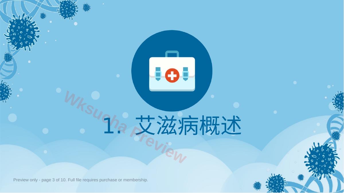 预览第 3 页