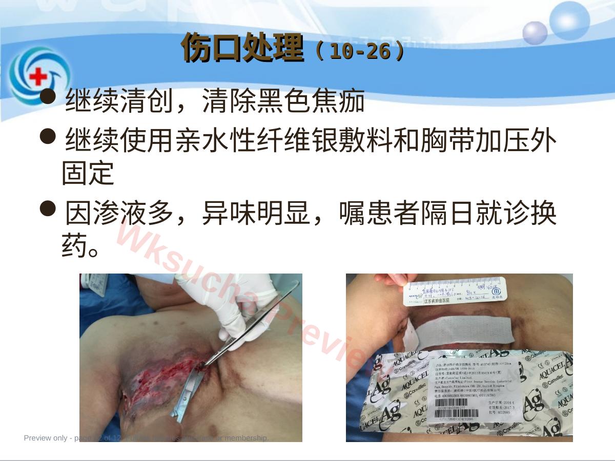 预览第 12 页