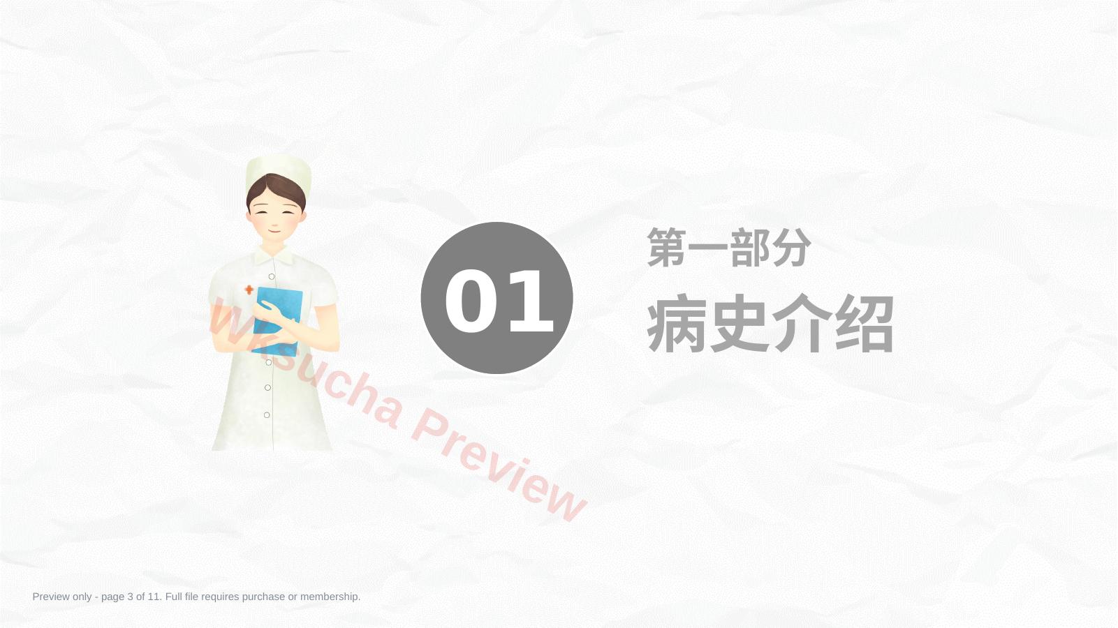 预览第 3 页