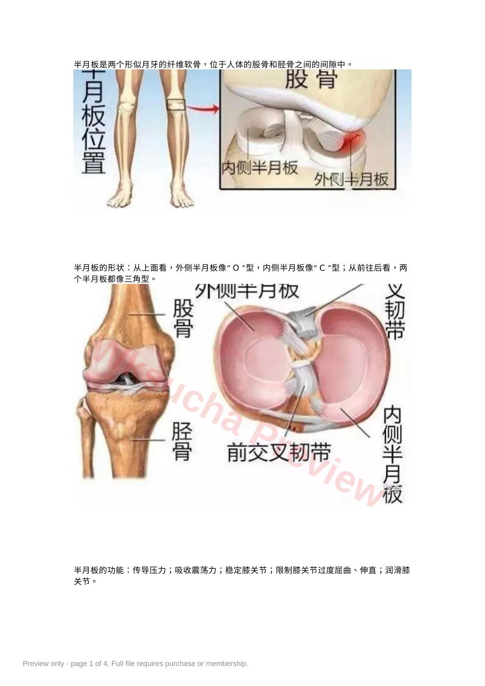 半月板的损伤及治疗