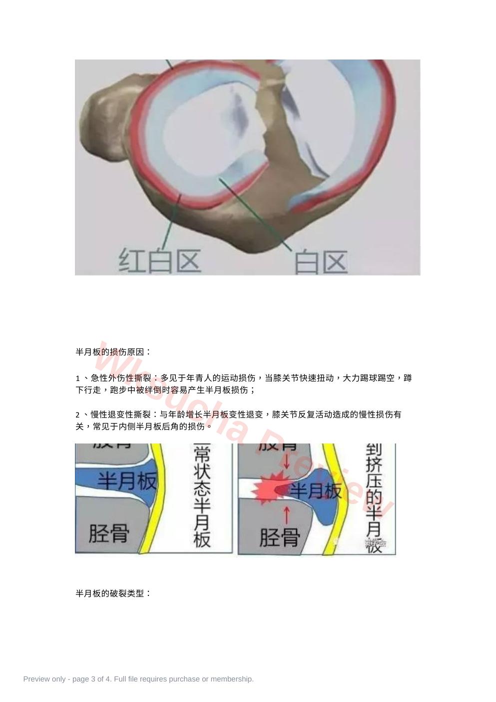 预览第 3 页