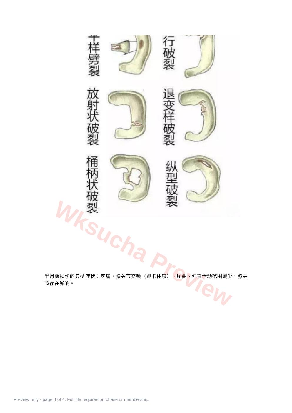 预览第 4 页