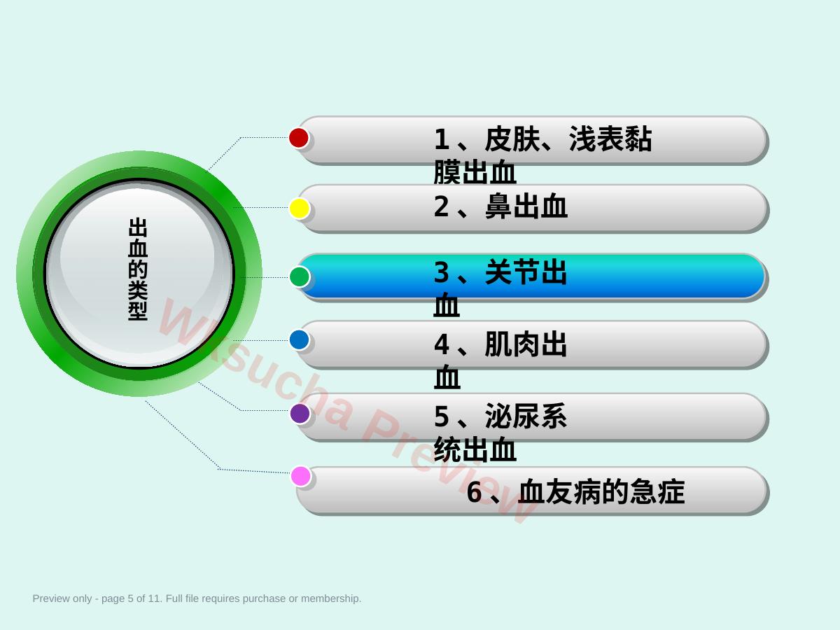 预览第 5 页
