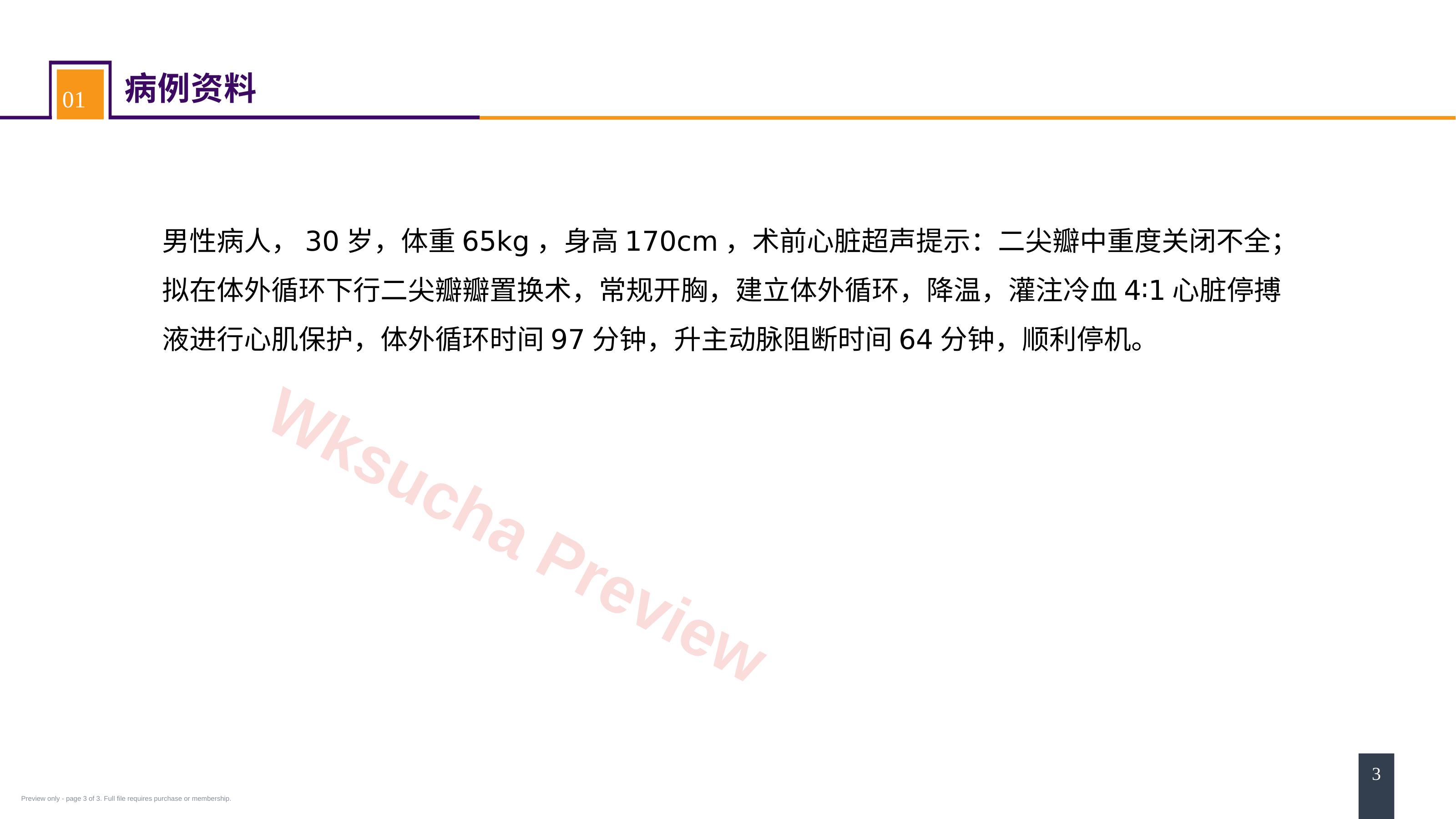 预览第 3 页