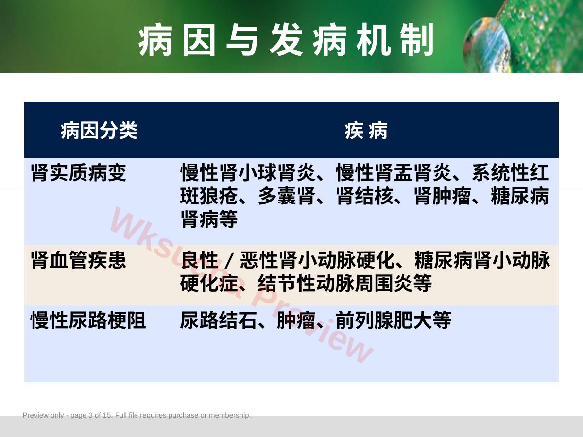 预览第 3 页