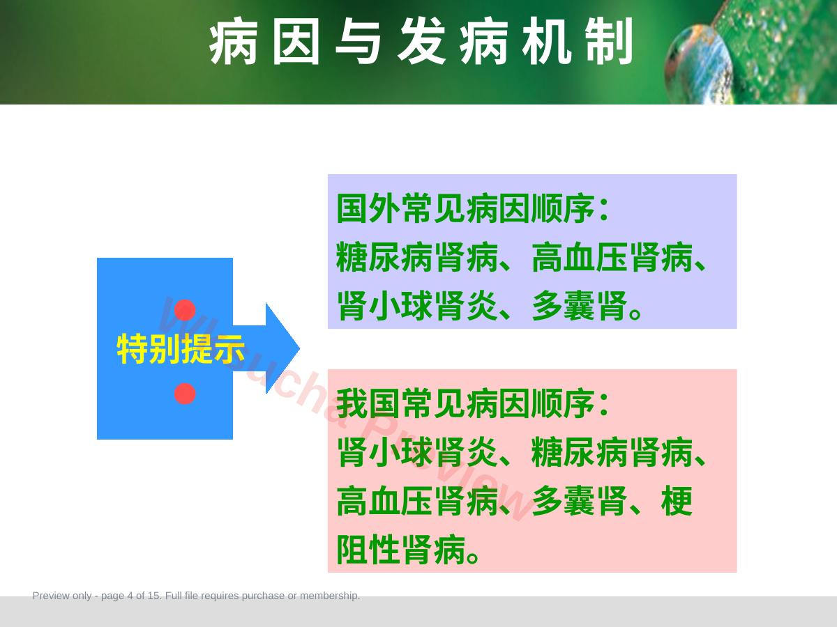 预览第 4 页