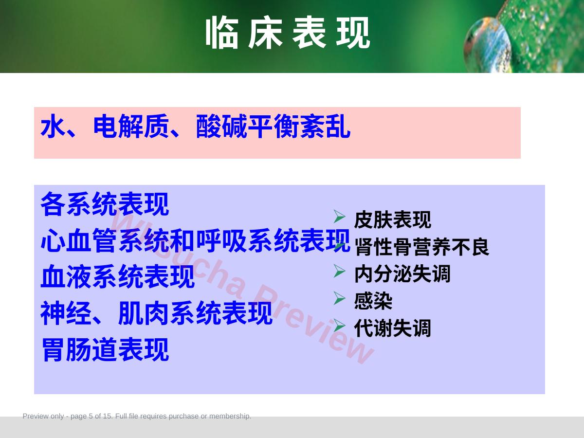 预览第 5 页