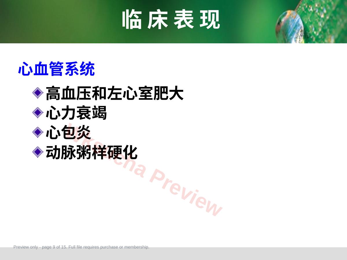 预览第 9 页