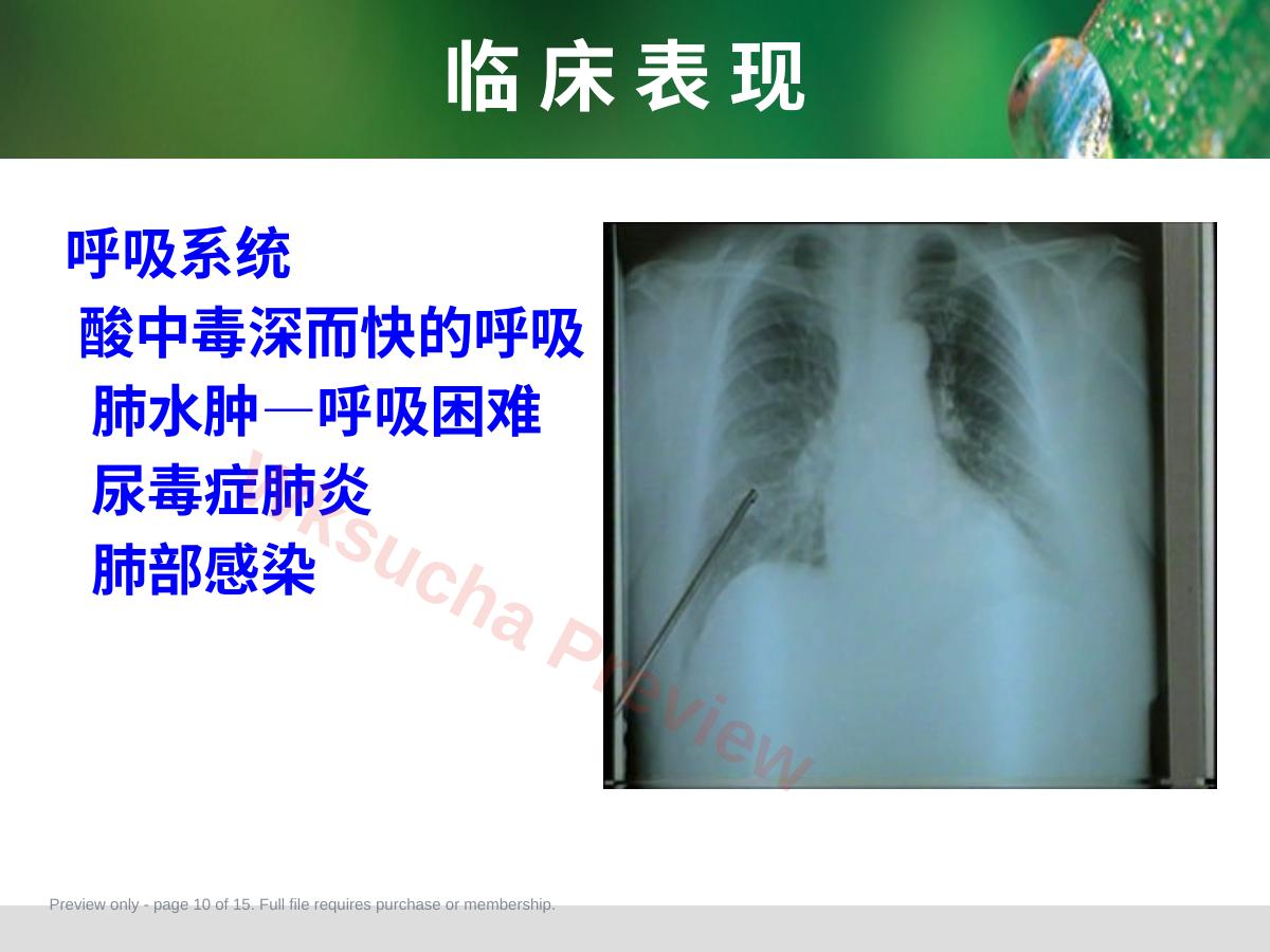 预览第 10 页