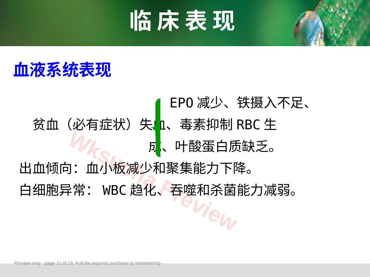 预览第 11 页