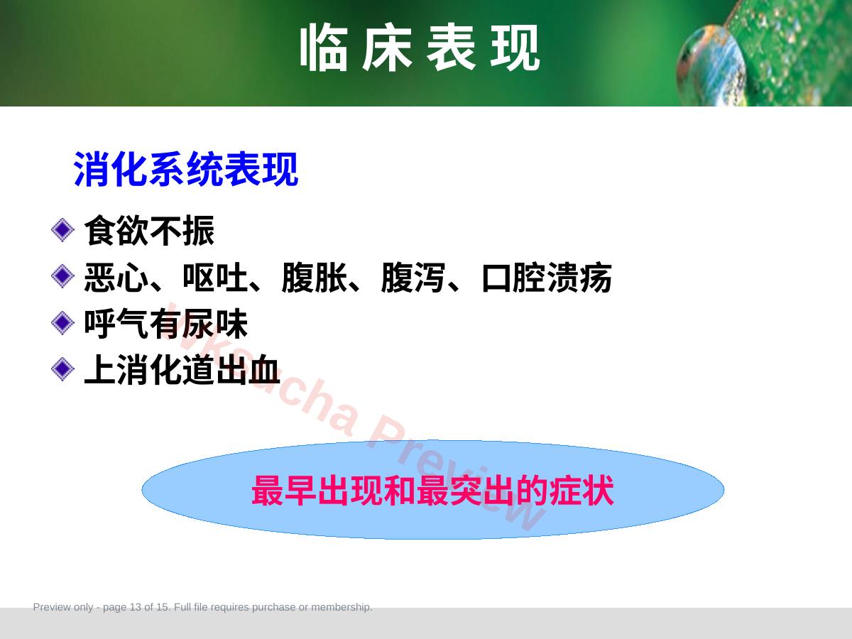 预览第 13 页