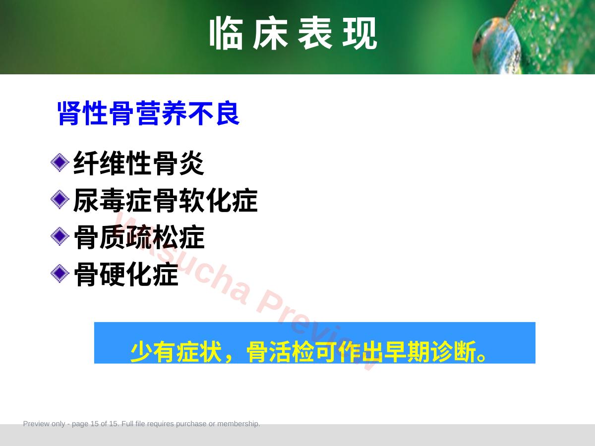 预览第 15 页
