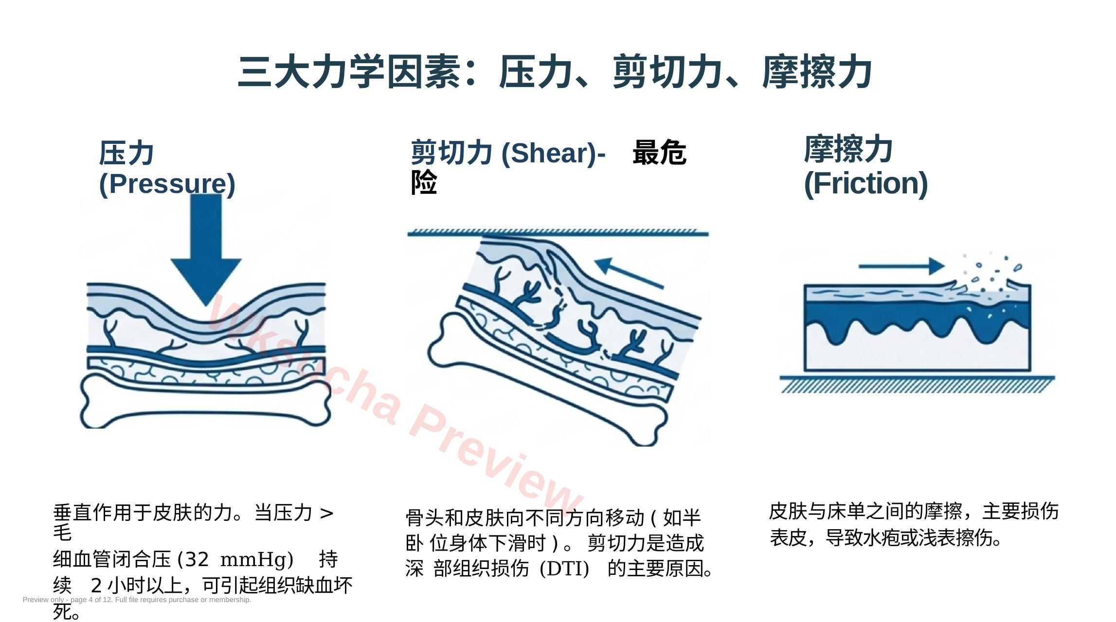 预览第 4 页