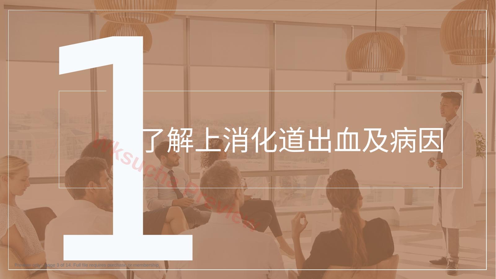 预览第 3 页