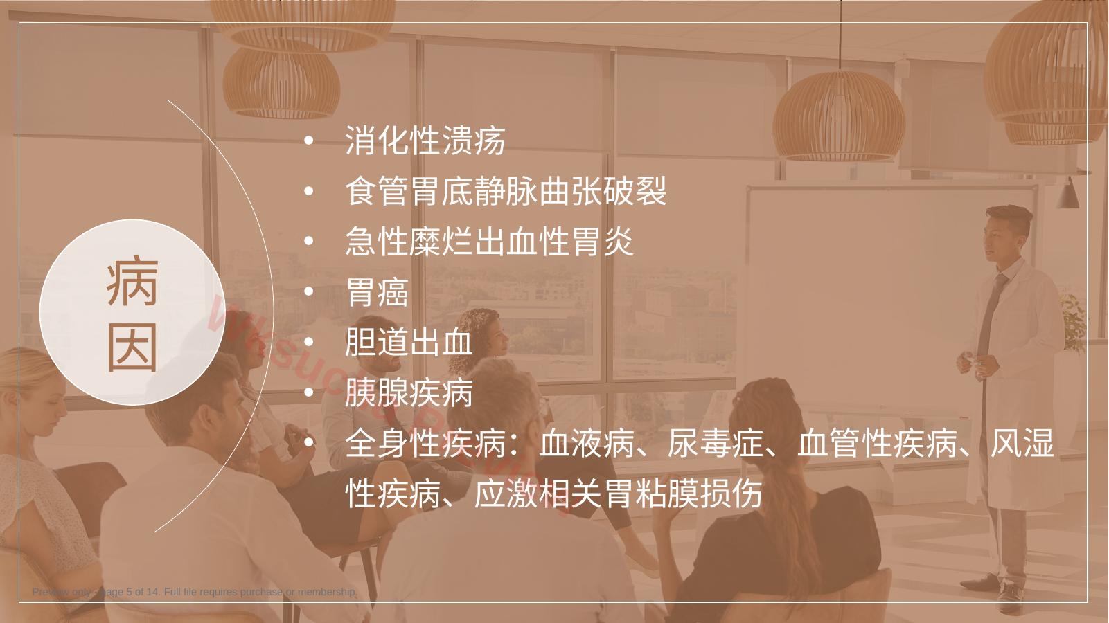 预览第 5 页