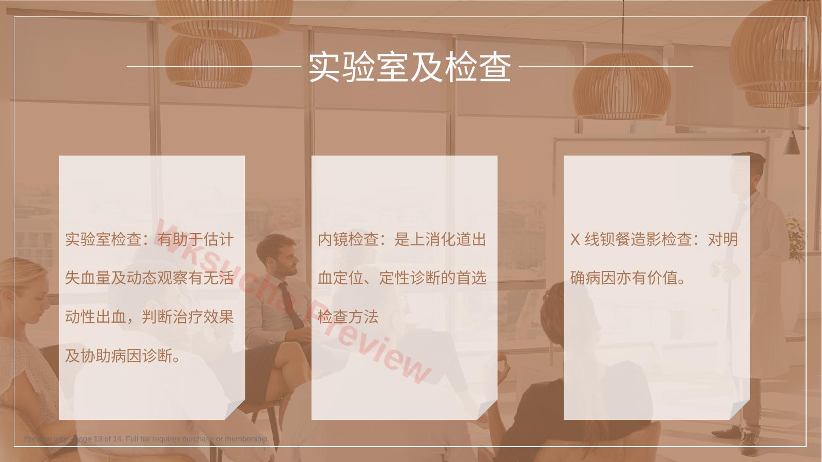 预览第 13 页
