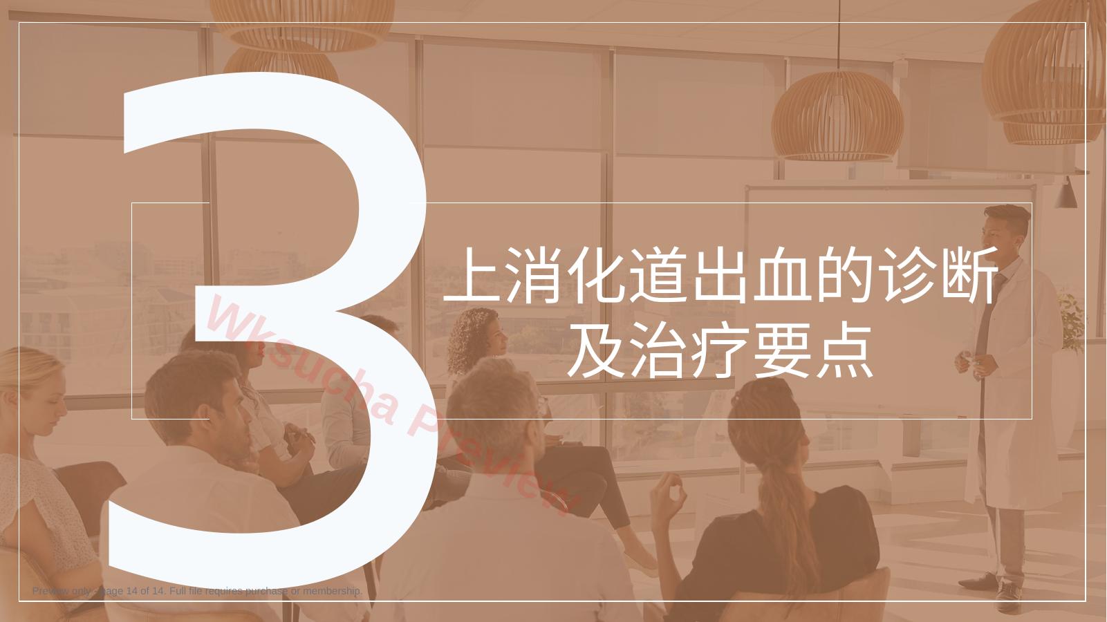 预览第 14 页