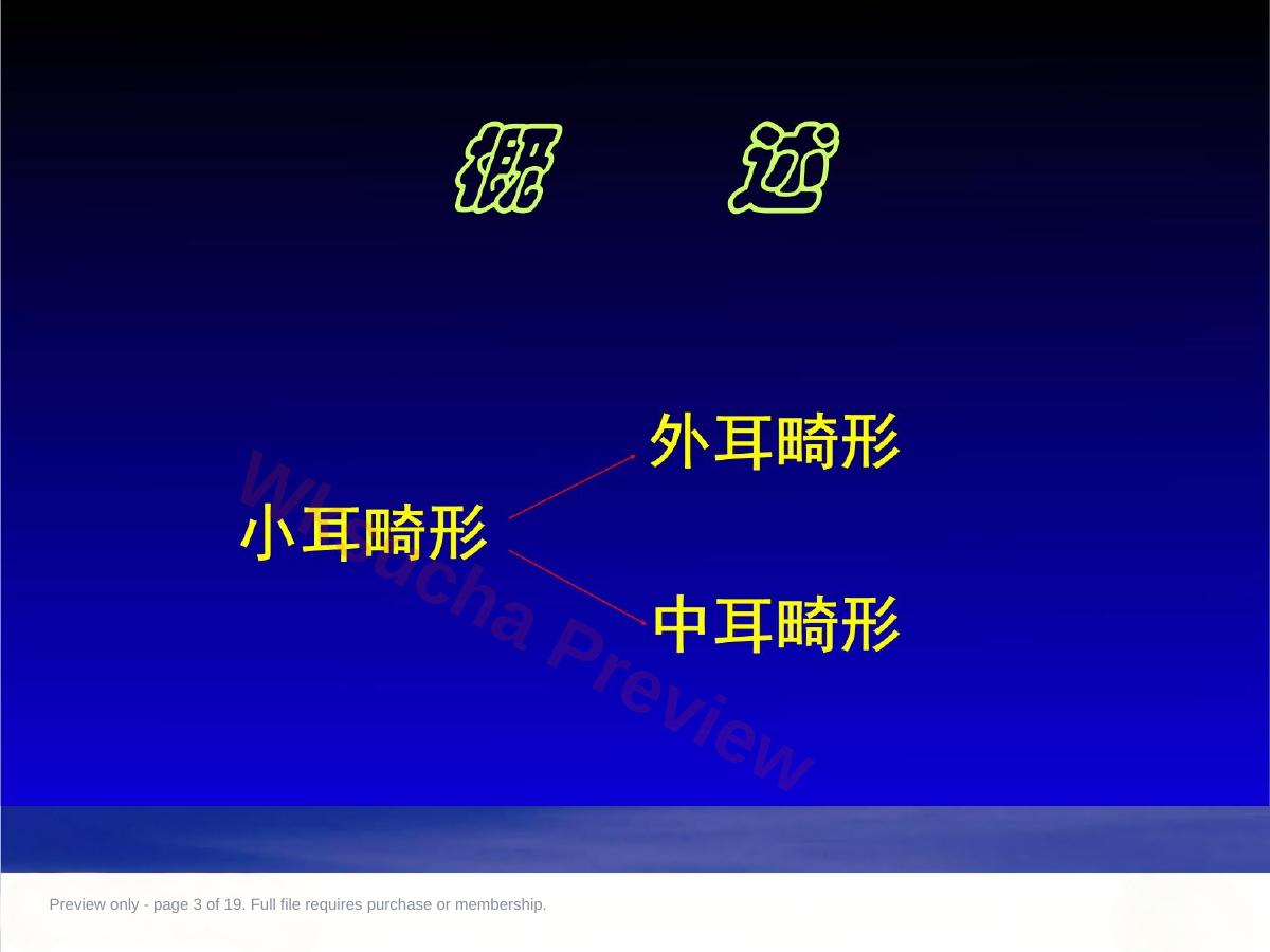 预览第 3 页