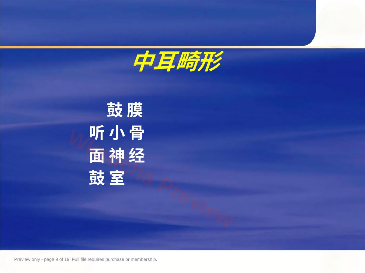 预览第 9 页