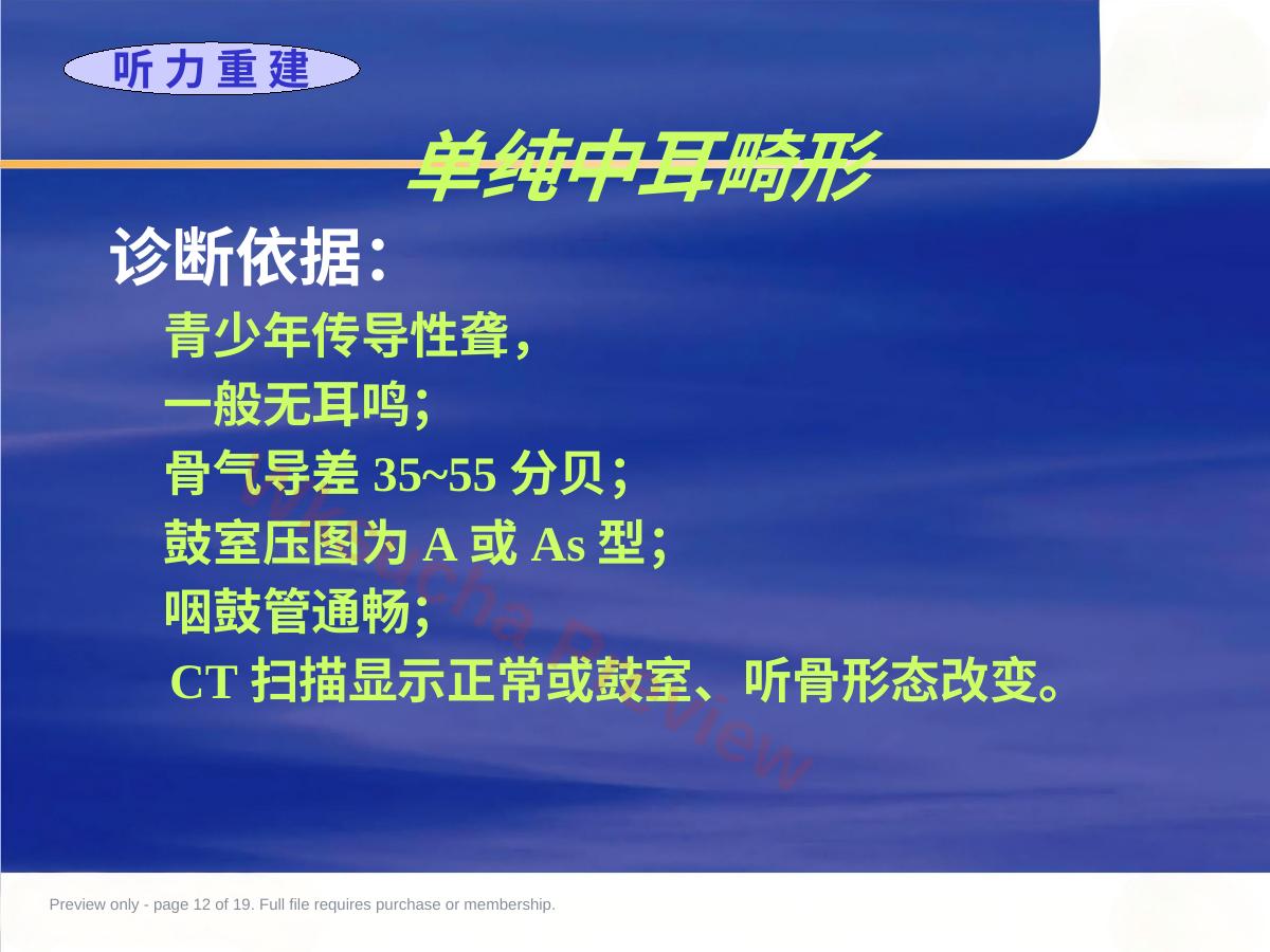 预览第 12 页