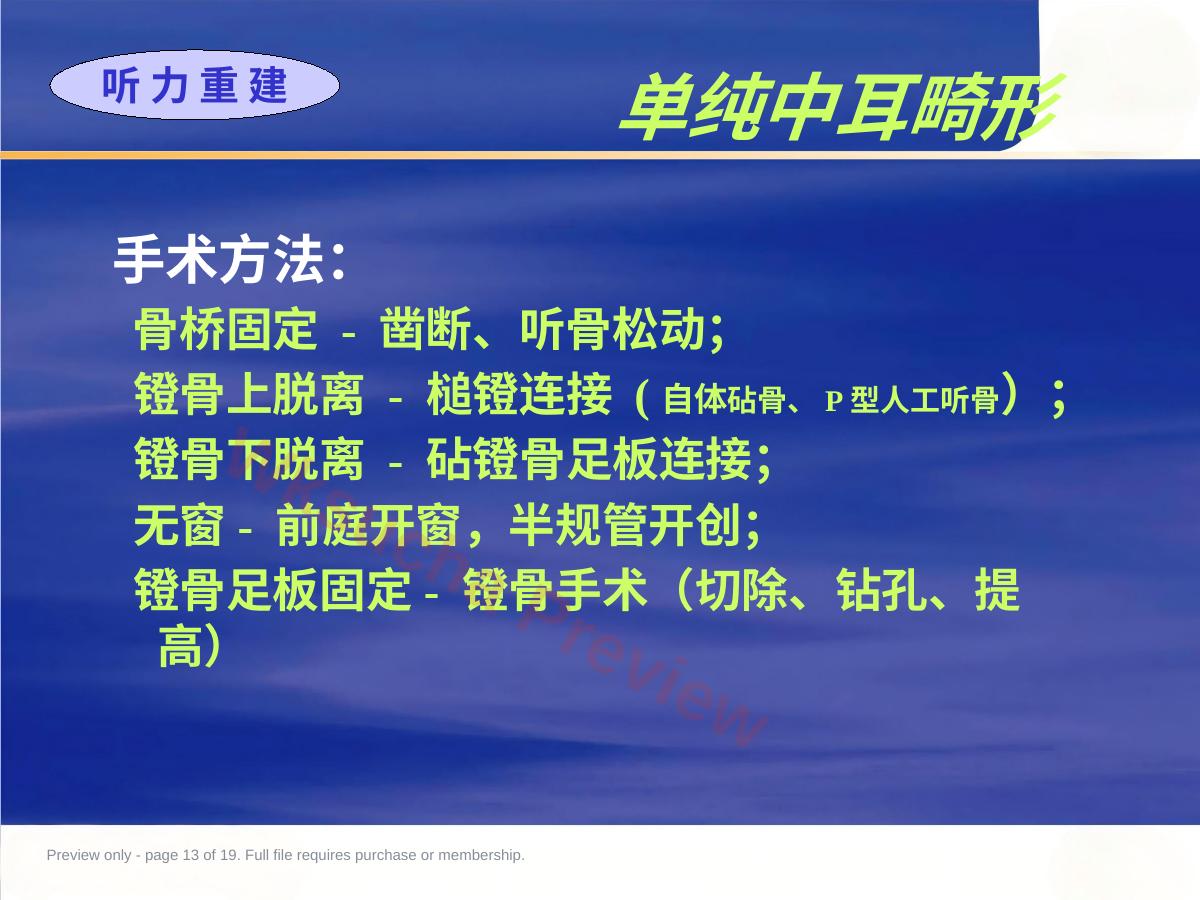 预览第 13 页