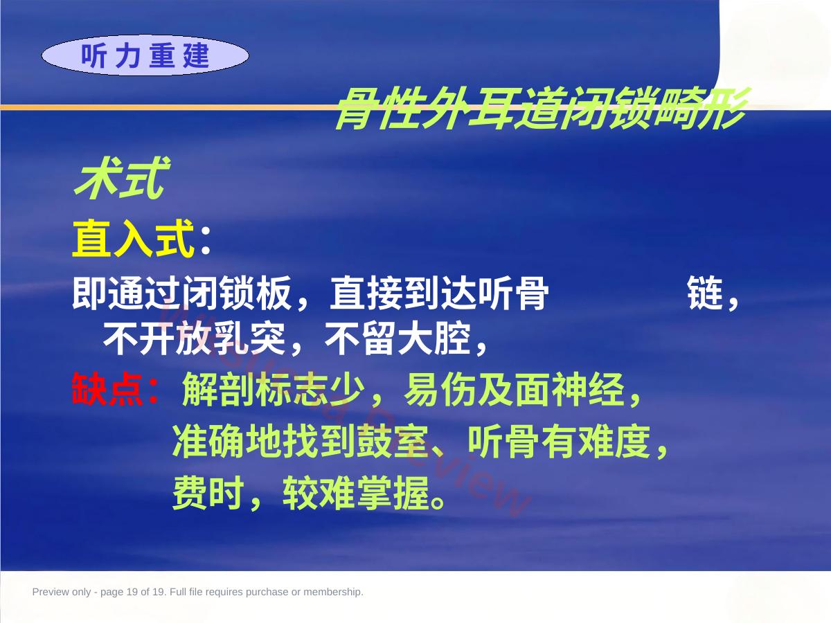 预览第 19 页