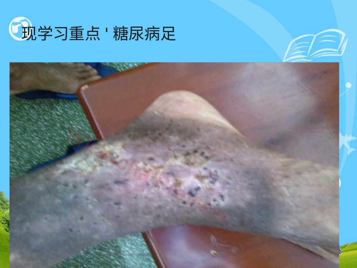 预览第 4 页