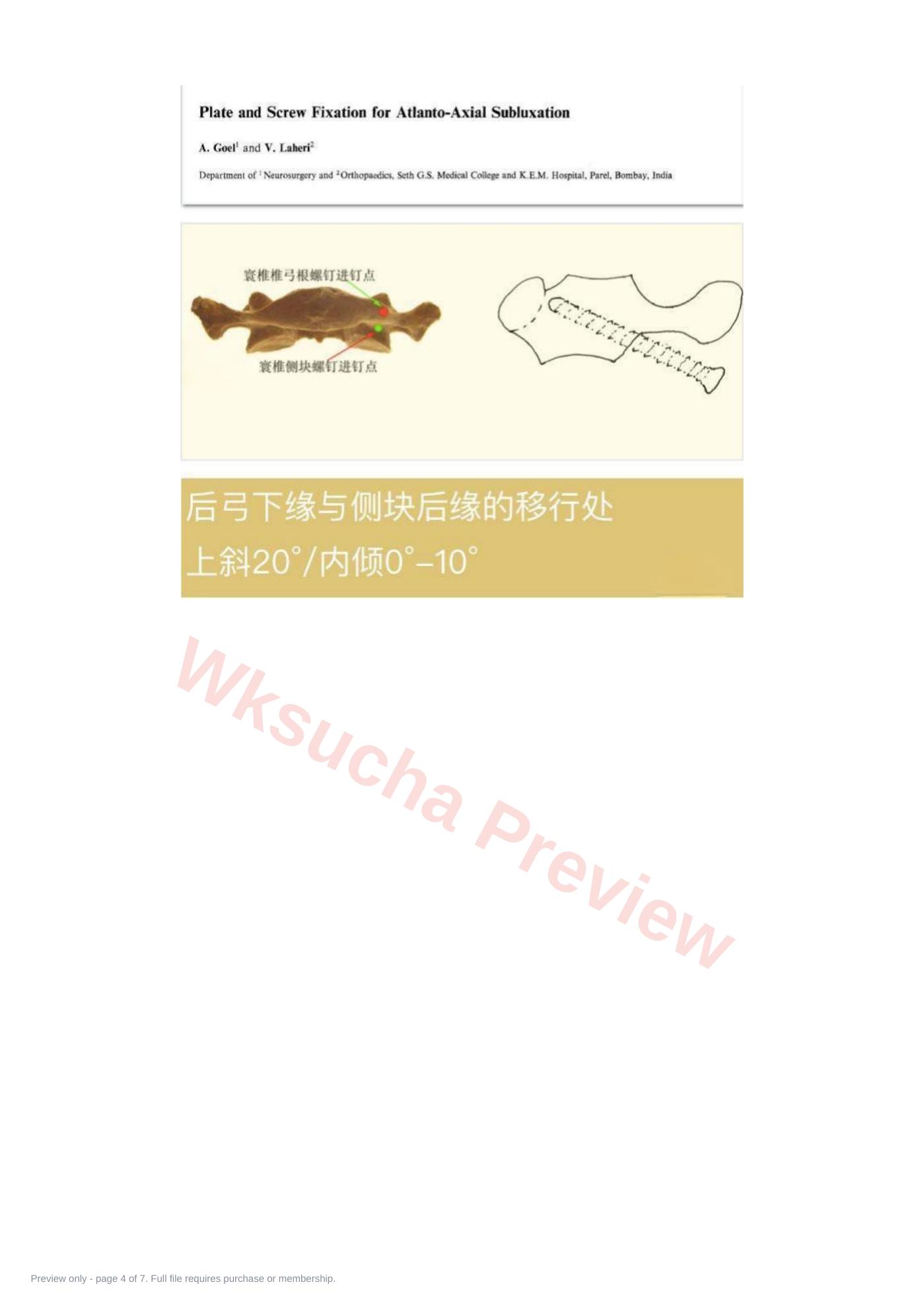 预览第 4 页