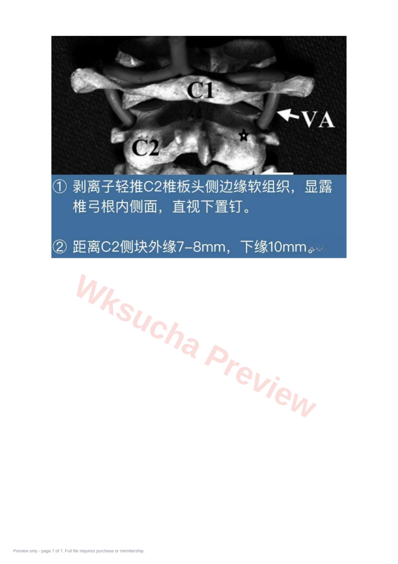 预览第 7 页