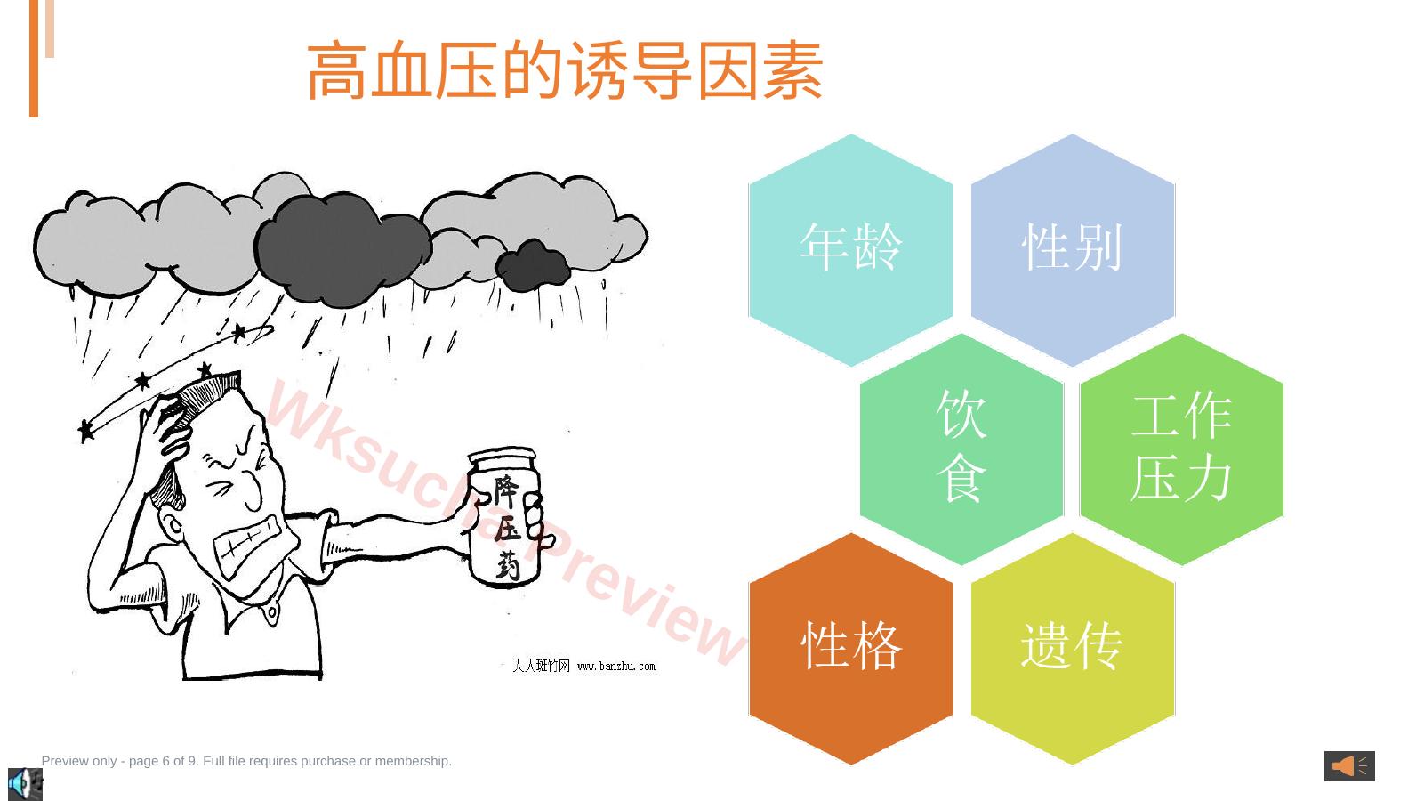 预览第 6 页