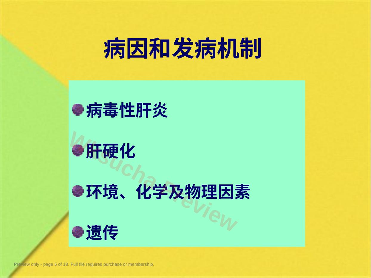 预览第 5 页