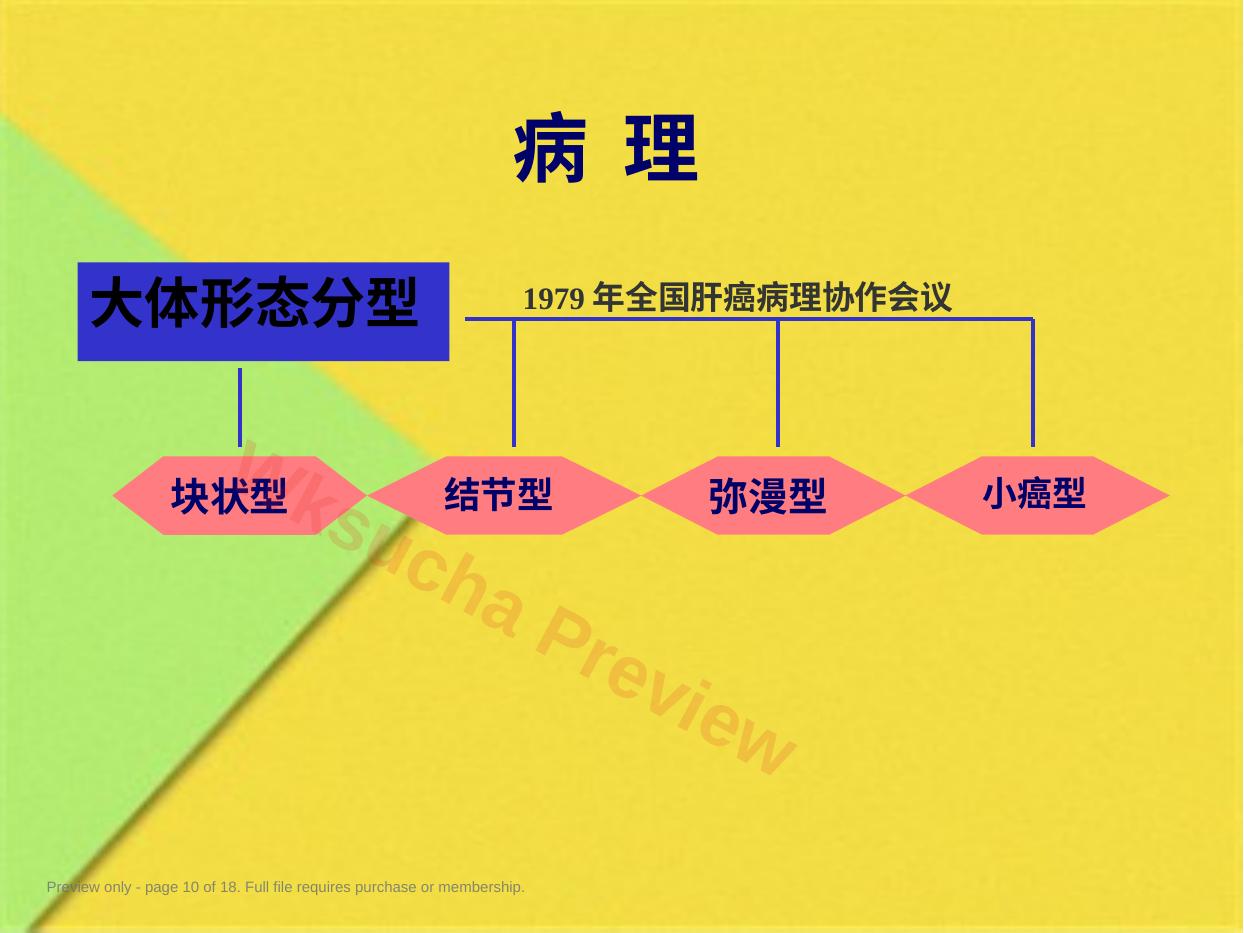 预览第 10 页