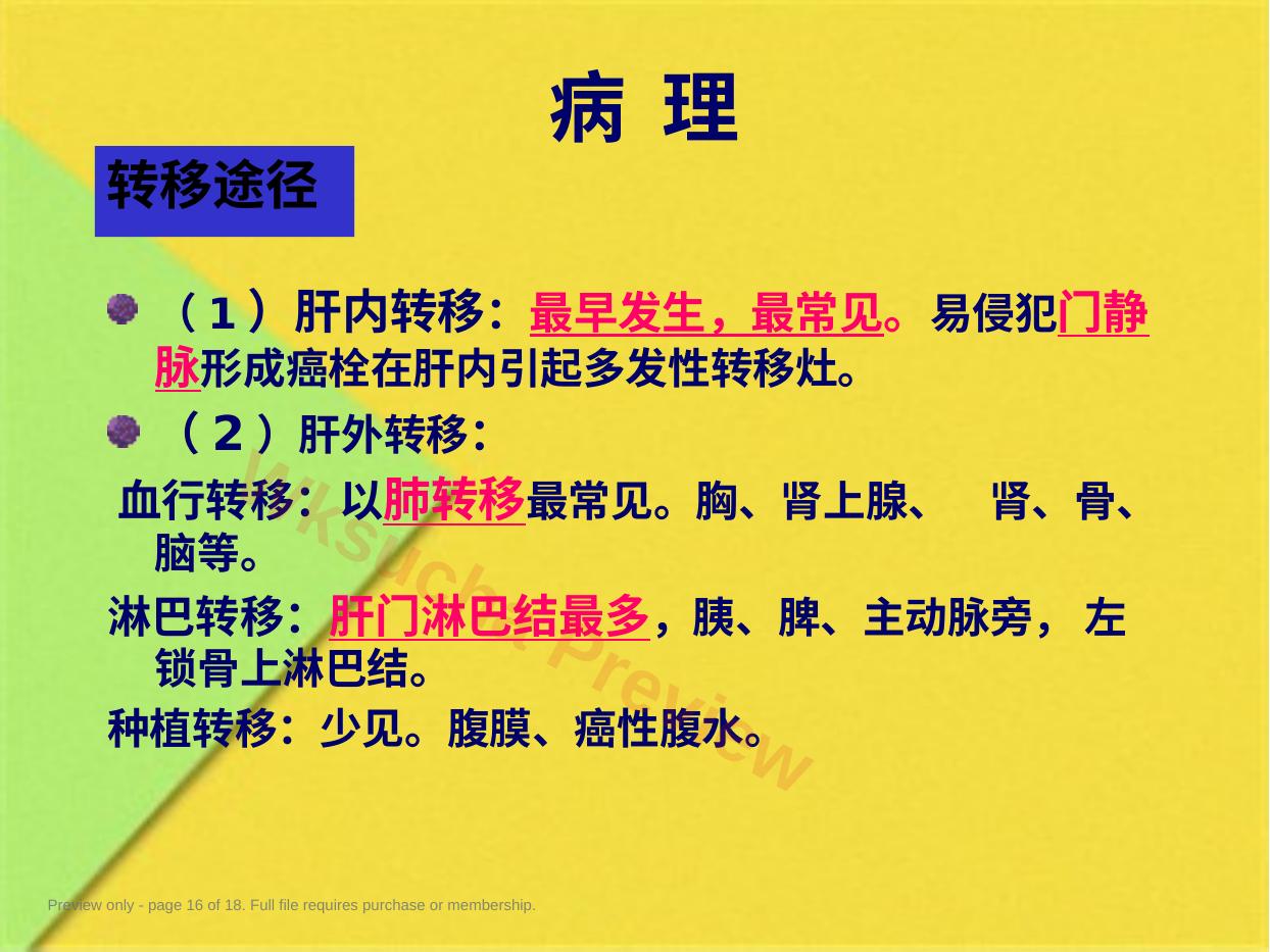 预览第 16 页